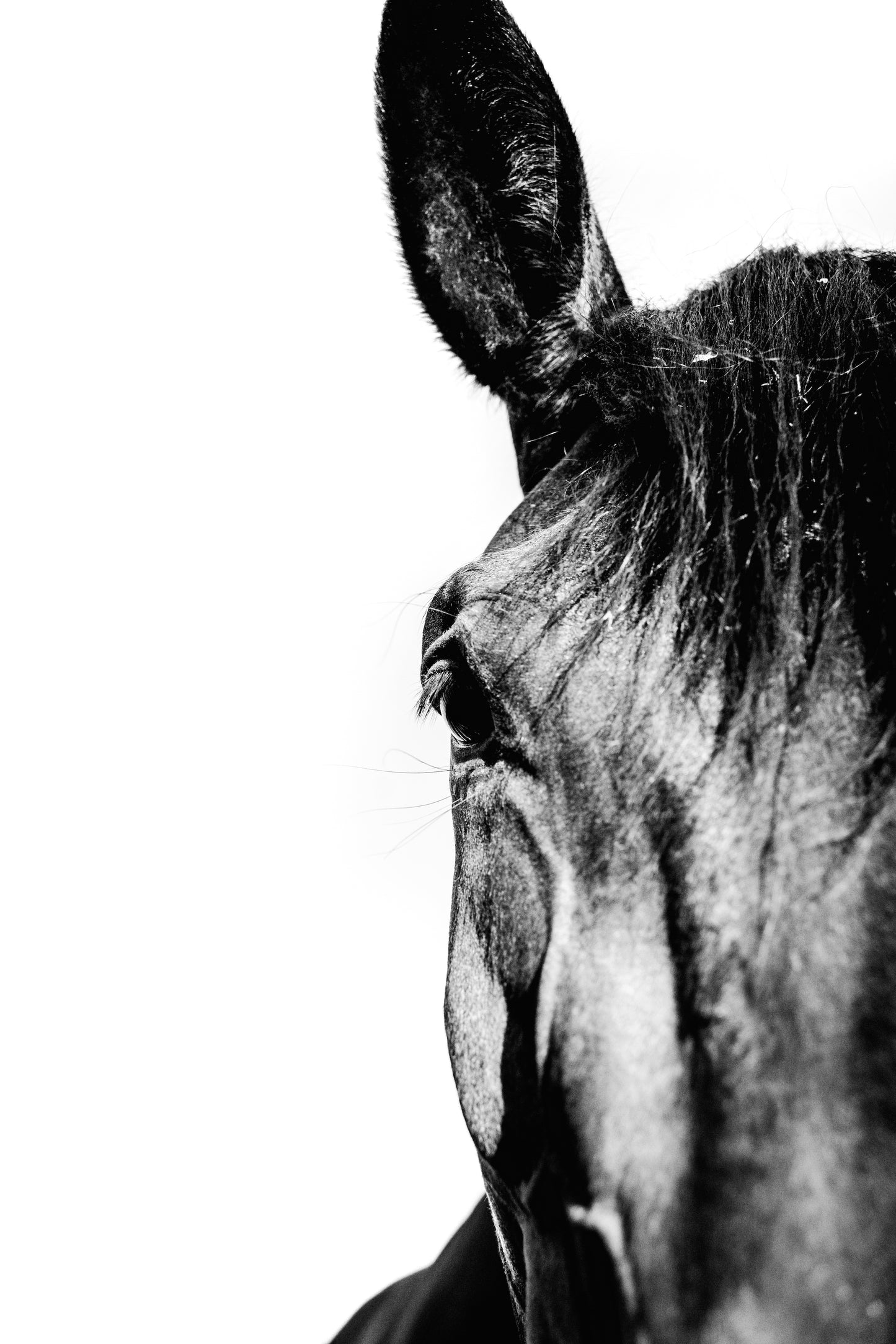 Here's Looking At You, Kid