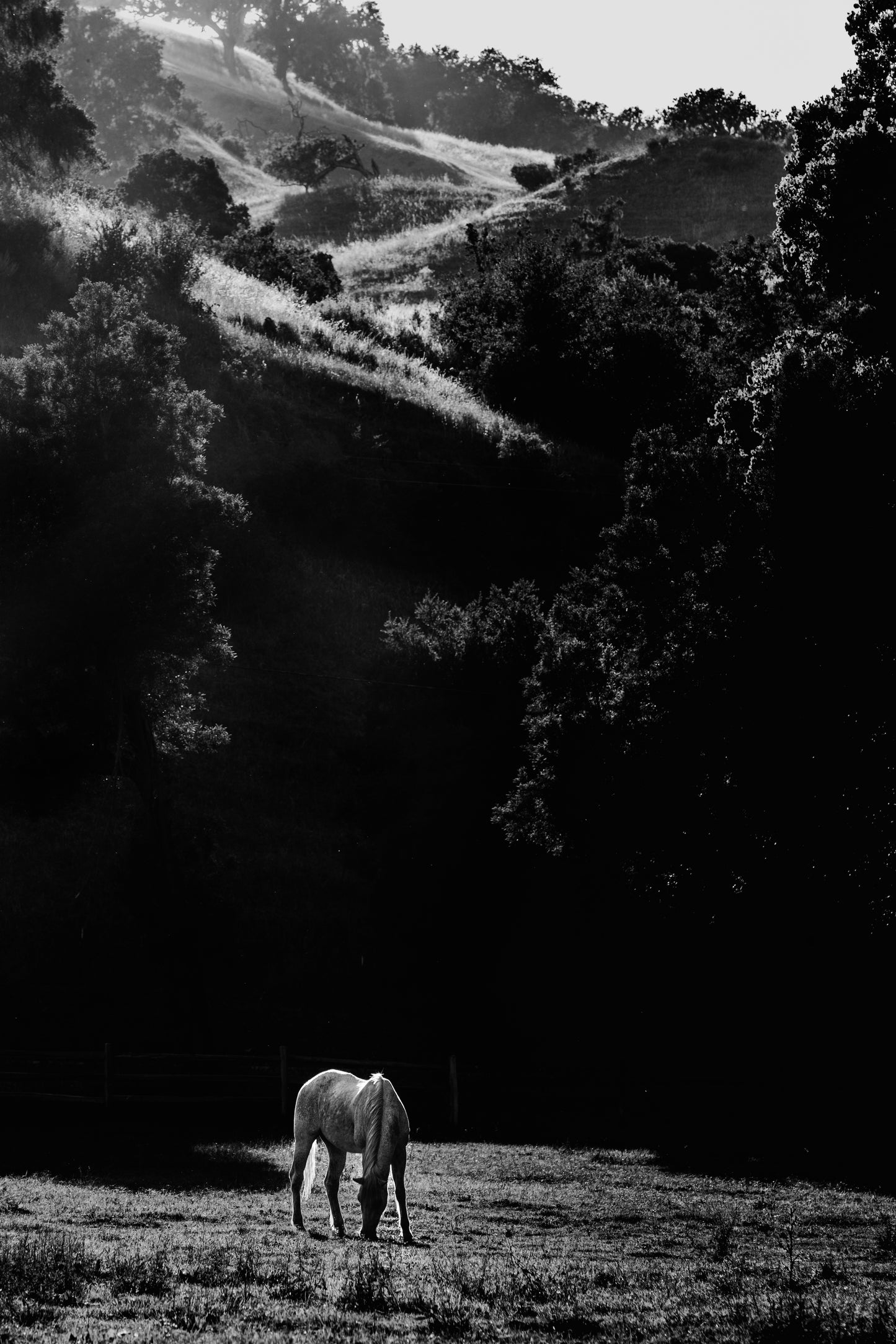 Valley of the Shadow