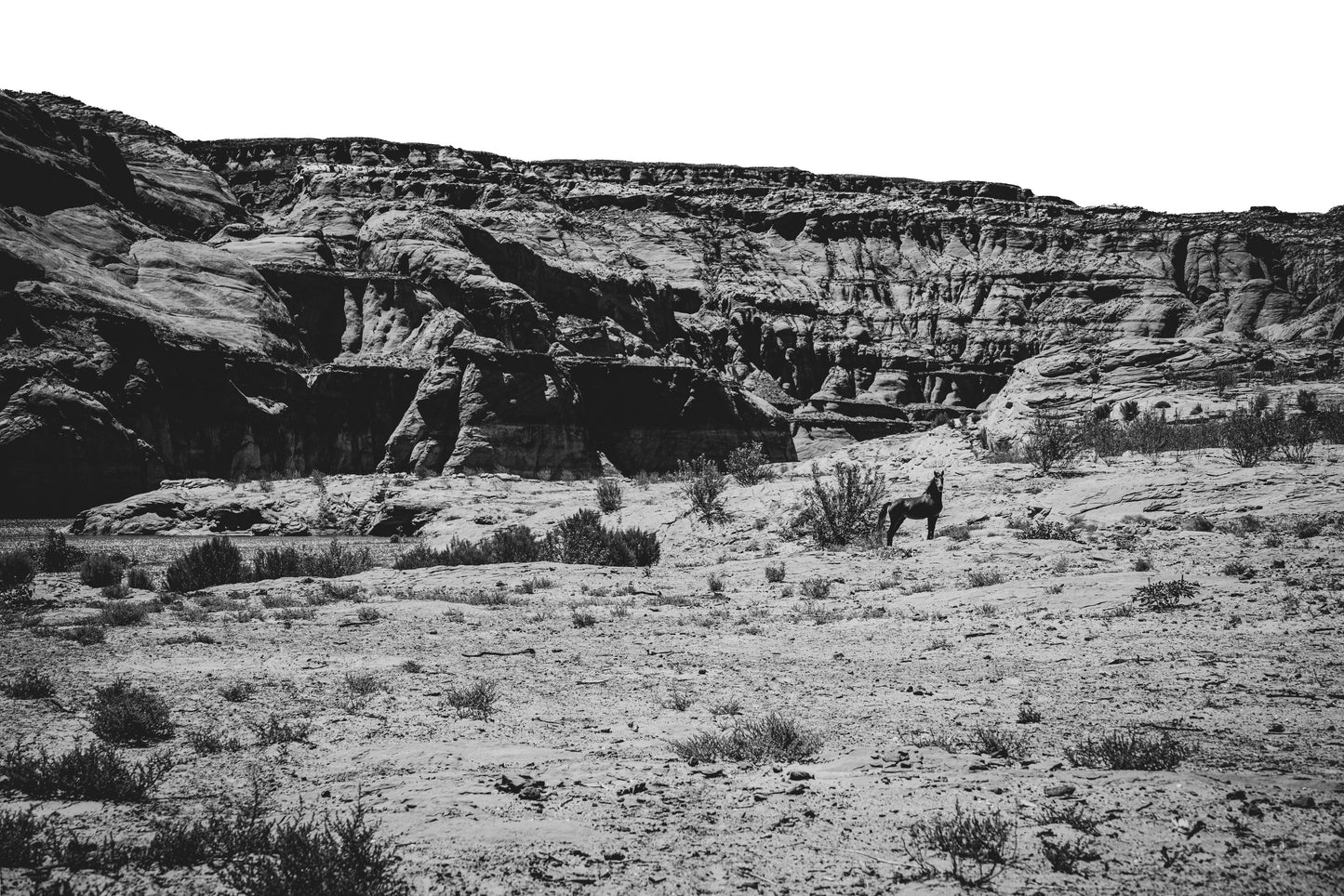 Wild Horse Canyon